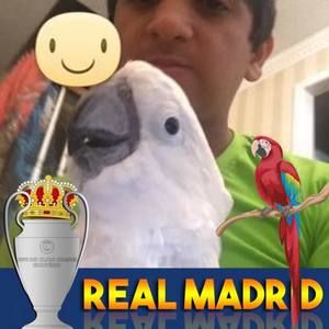 Meet your Posher, Ali